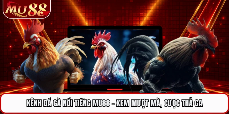 Kênh Đá Gà Nổi Tiếng MU88 - Xem Mượt Mà, Cược Thả Ga